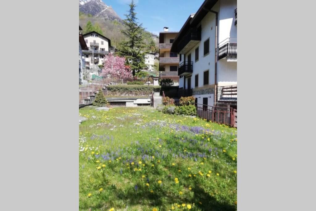 Ferrari'S: Bright Apartment With Magnificent View Chiesa in Valmalenco Eksteriør bilde